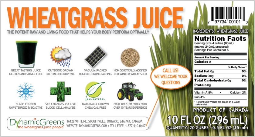 dynamic-greens-frozen-wheatgrass-juice-raw-nutrition-canada